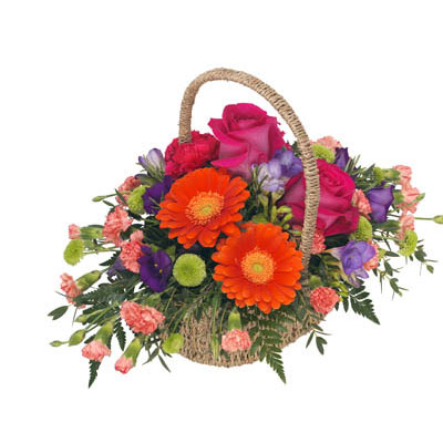 Vibrant Basket